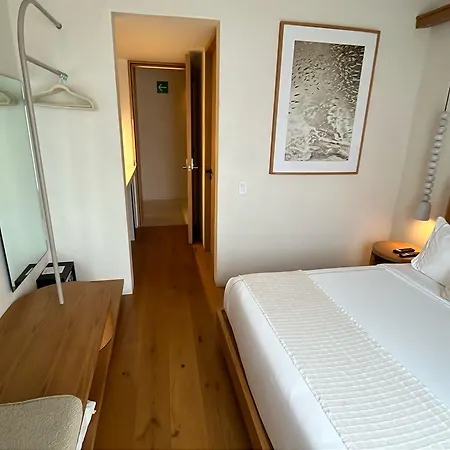 Casa Ofelia - Bright Studio In Polanco